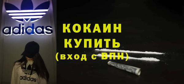PSILOCYBIN Богданович