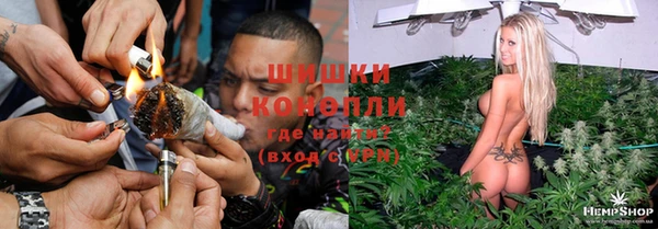 apvp Богородицк