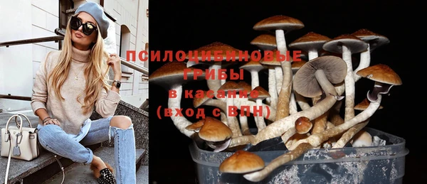 PSILOCYBIN Богданович