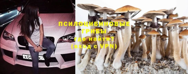 jwh Богородск